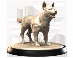 Australian Kelpie and Heeler